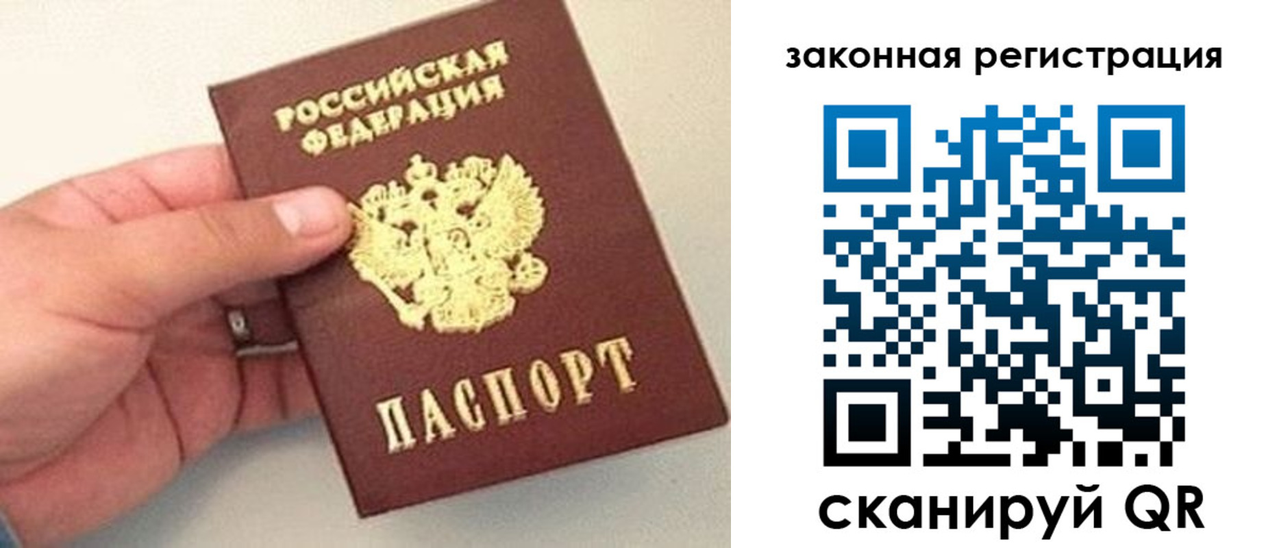 прописка для школы в Батайске